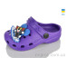 Кроксы Lot Shoes
